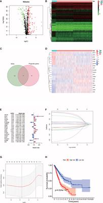 Transcriptome Analyses Identify a Metabolic Gene Signature Indicative of Antitumor Immunosuppression of EGFR Wild Type Lung Cancers With Low PD-L1 Expression